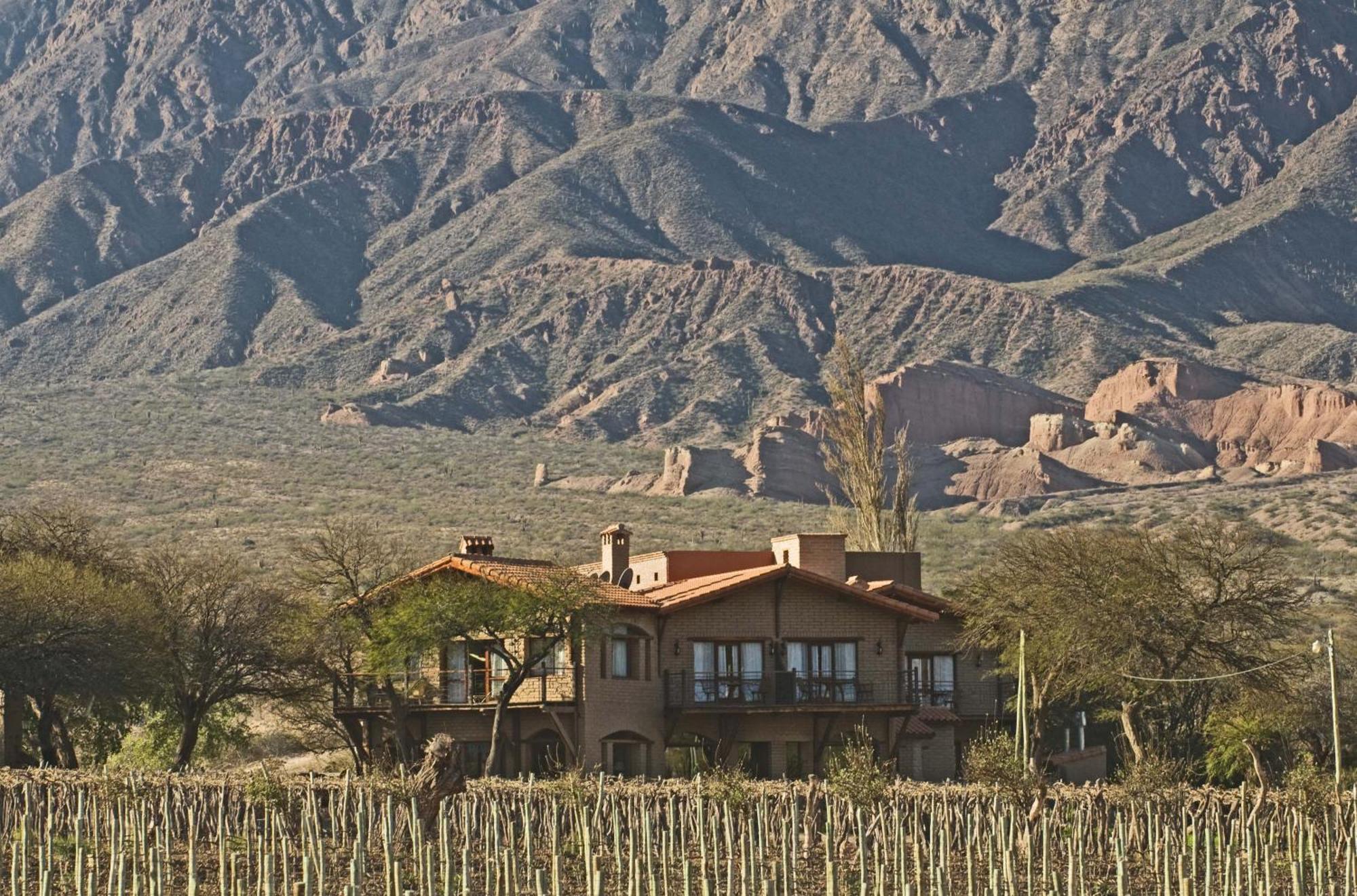 La Casa De La Bodega - Wine Boutique Hotel Cafayate Zewnętrze zdjęcie