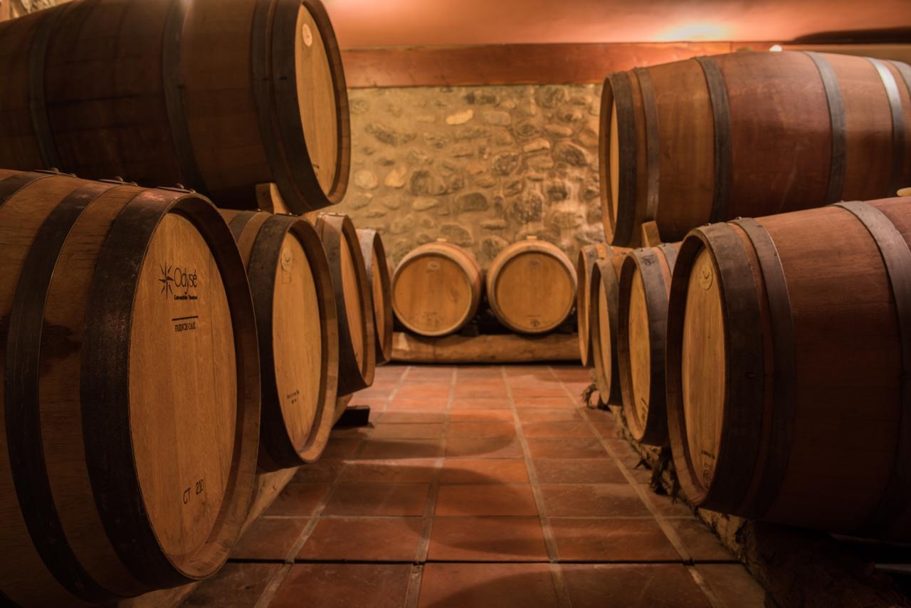 La Casa De La Bodega - Wine Boutique Hotel Cafayate Zewnętrze zdjęcie
